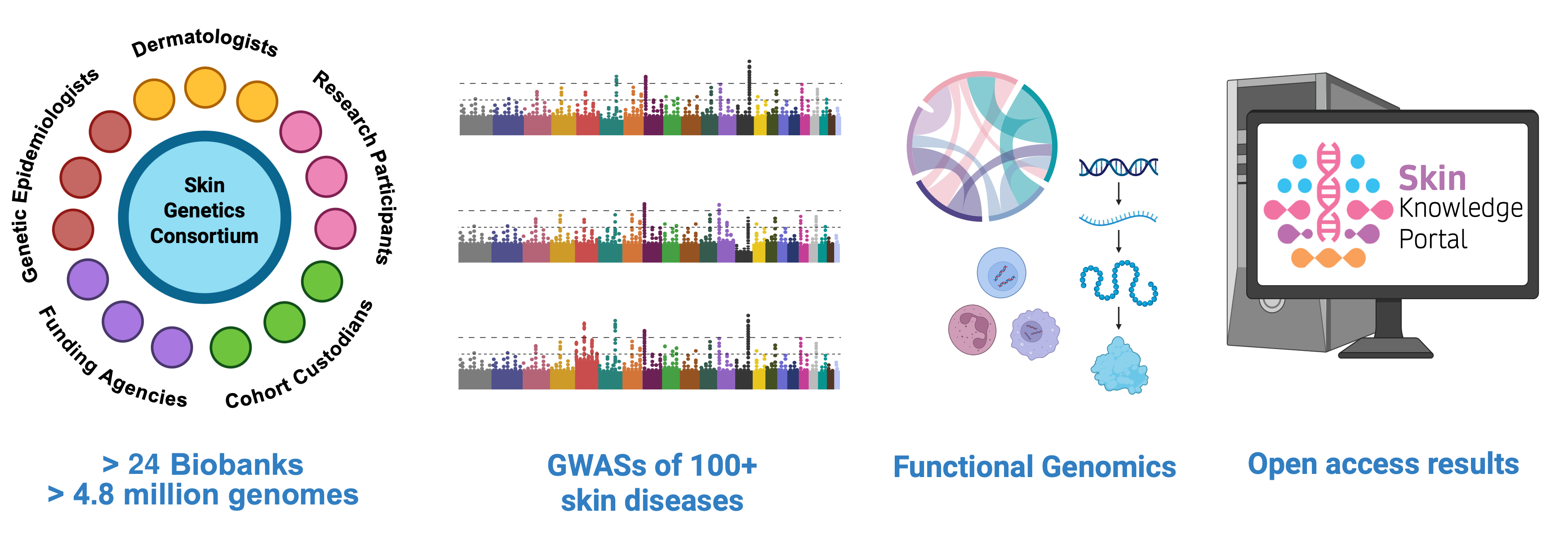 Skin Genetics Consortium overview